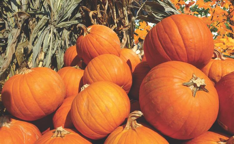 Wynnewood's Pumpkin Fest is Oct. 2
