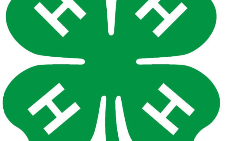 4-H