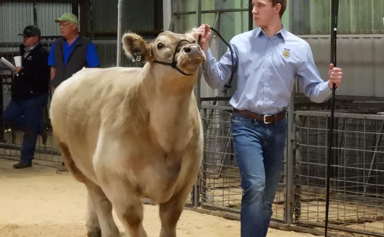 Stratford FFA students also took part in the Garvin County Junior Livestock Show Feb. 21-28.