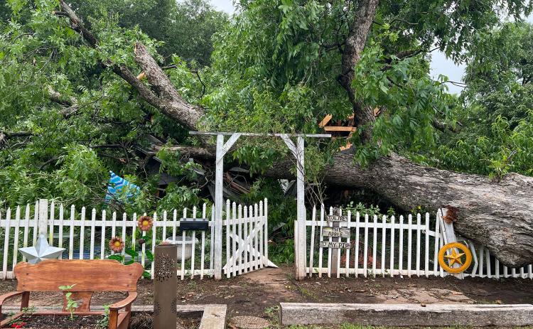 A large pecan tree rests on top of a home on South Pecan Street in Pauls Valley after it was uprooted by storms that moved through the area Tuesday evening. News Star photo by Suzanne Mackey