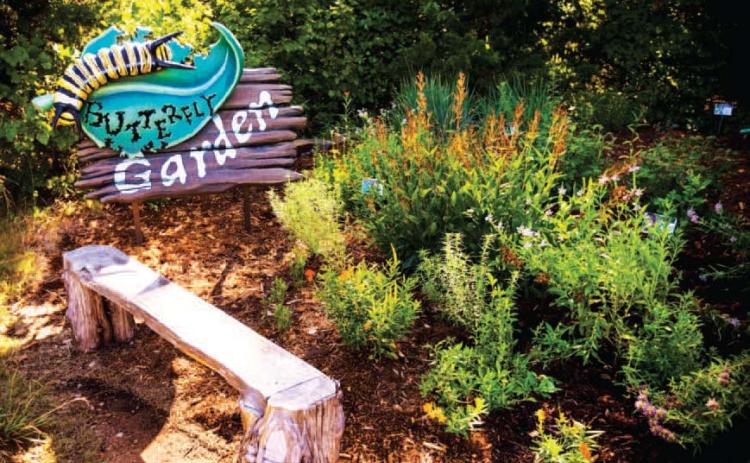National Learn About Butterflies Day takes place March 14