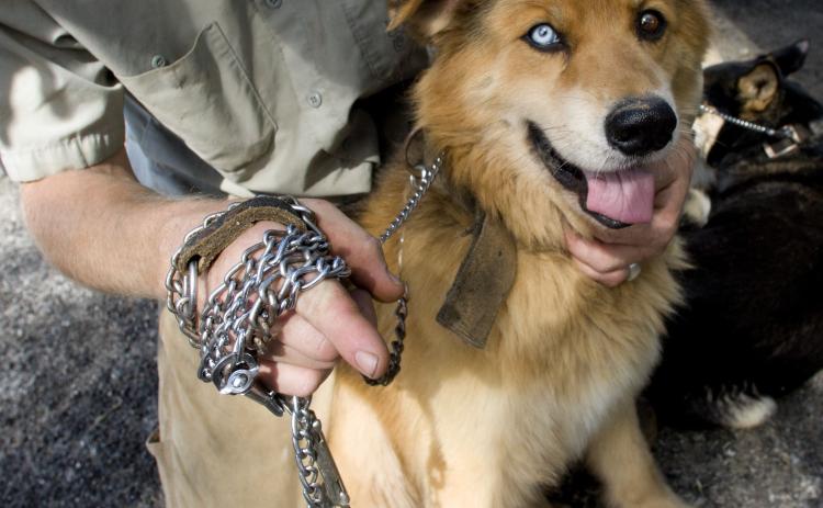 The Chickasaw Nation is offering no-cost rabies clinics at several Chickasaw Nation locations through May at no charge. For more information, call (580) 226-4821.