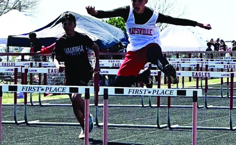 Maysville’s Josh Green runs the hurdles at Waurika on Monday. Photo courtesy of Krysti Kesler
