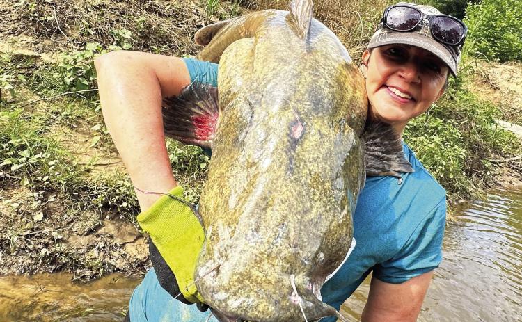 Pauls Valley‘s Jennifer Samford poses with one of the large flathead catfish she helped pull out of an Oklahoma creek during her first-ever noodling trip earlier this week. Courtesy photo