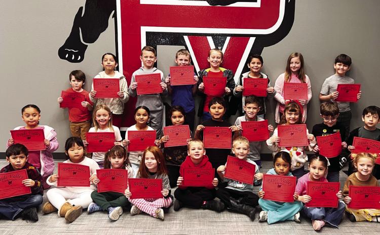 December Little Panthers