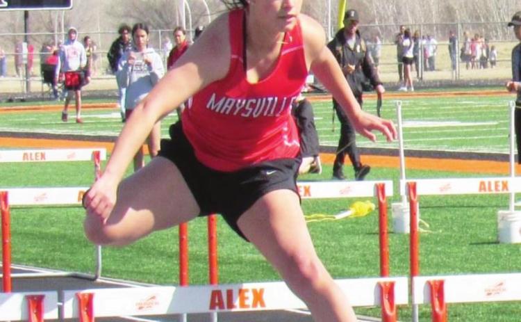 Maysville senior Caitlin Ward runs to a third place finish in both the 100- and 300-meter hurdles at the Alex track meet last week. Courtesy Photo