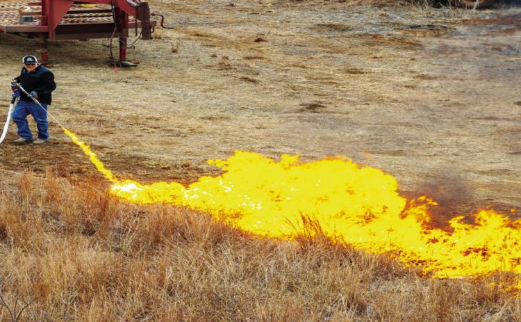 Prescribed fire is a powerful land-management tool. Learn more about it at the upcoming Prescribed Fire Workshop and Field Day on Sept. 10 at the Okmulgee County Fairgrounds in Okmulgee. (Photo by Mitchell Alcala, OSU Agriculture)