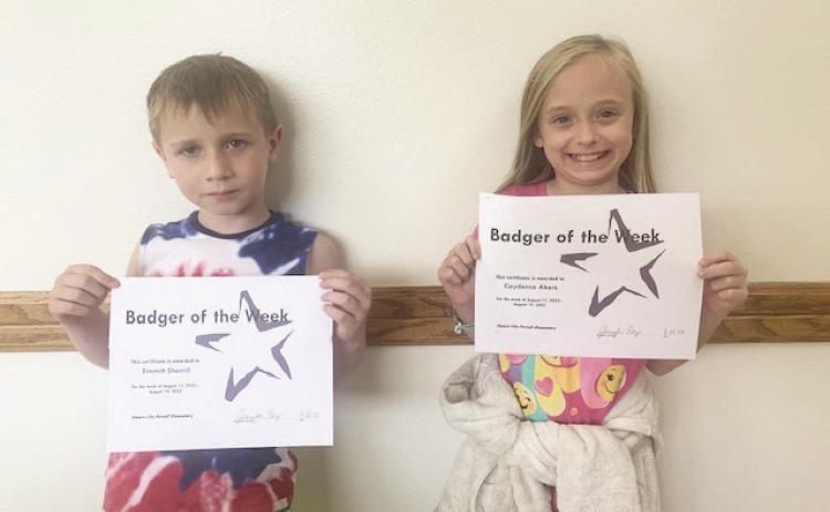 Badgers of the Week