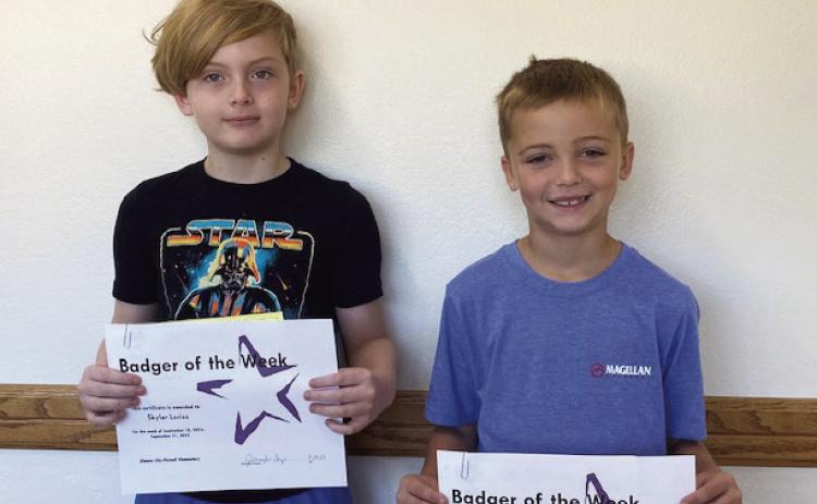 Badgers of the Week