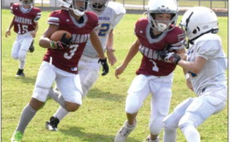 Wynnewood #3 JaKobi Whitaker and #1 Jaxsyn Knighten, try to avoid the Ringling Blue Devil linebacker in the first game of the Wynnewood’s youth tackle program after a 10-year absence. News Star photo by Don Coffey