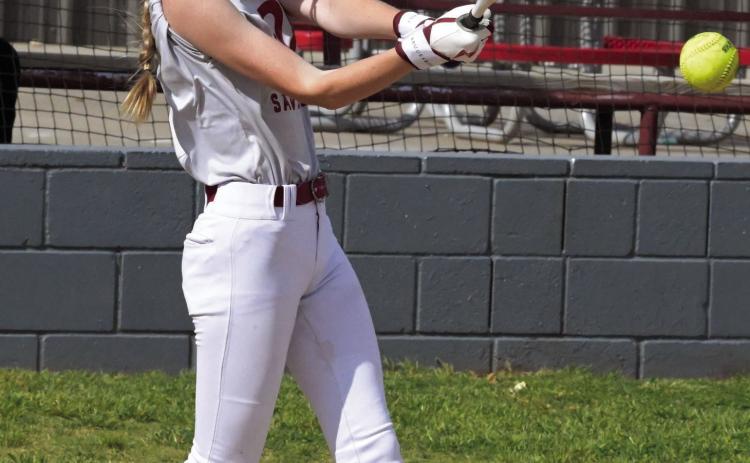 Softball season continues