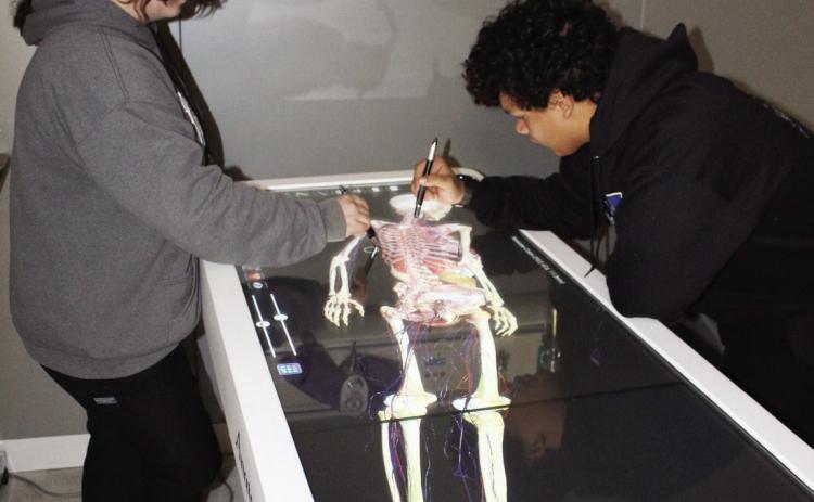 Mrs. Thompson’s anatomy and physiology students, Becca Armstrong and Adam Reed, are fully engaged while using the Anatomage Table.