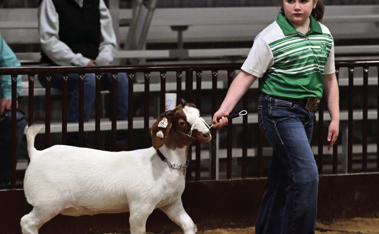Garvin County Junior Livestock Show results
