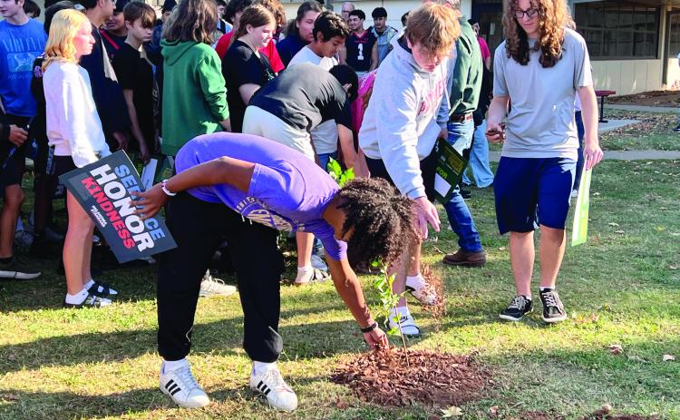 Ninth-grade students from Pauls Valley Junior High helped Oklahoma State Foresters plant a sapling from the Survivor Tree at the Oklahoma City National Memorial and Museum in the Pauls Valley High School courtyard Oct. 25.