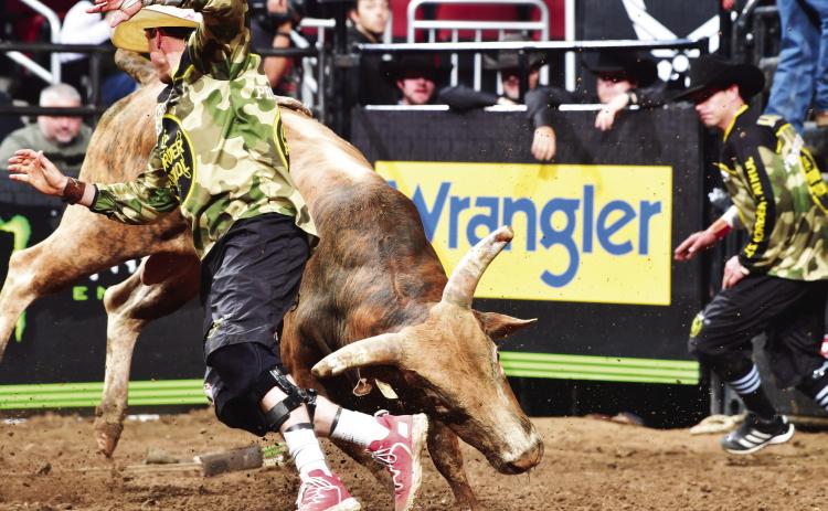 Cody Webster becomes official bullfighter at PBR World Finals in Ft. Worth