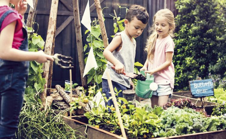 Teachers and community leaders will learn more about school and community gardens at the upcoming Oklahoma School and Community Garden Conference on July 21 in Oklahoma City.
