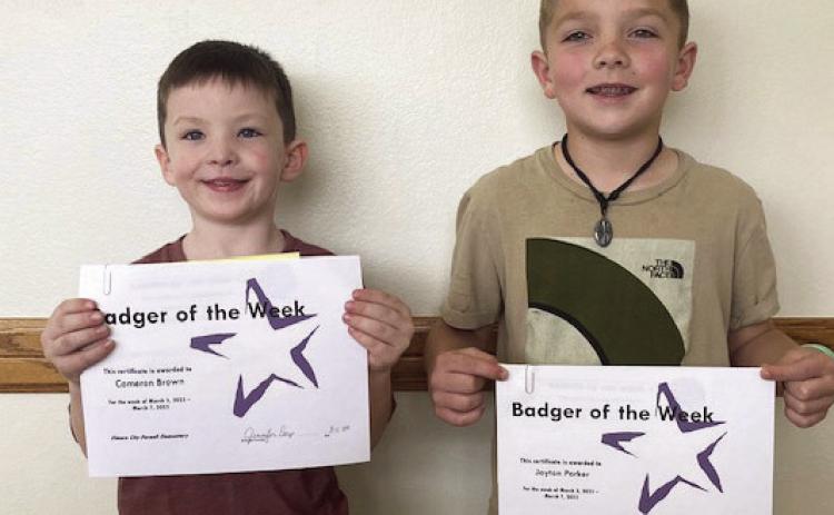 Badgers of the Week