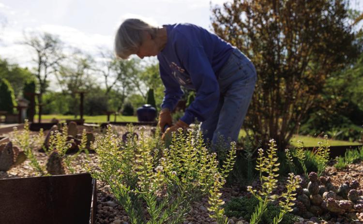 Raised beds and ergonomic tools are two things that help make gardening easier for senior gardening enthusiasts and those with physical limitations. (Photo by Mia Reinert, OSU Agriculture)