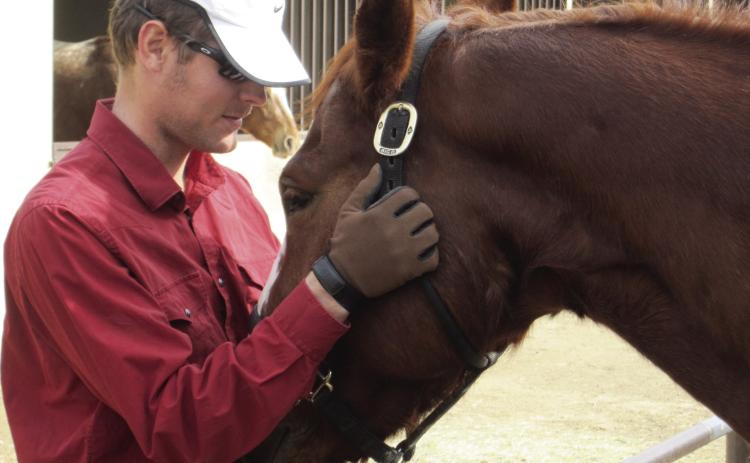 Dr. Duke Cole has learned many life lessons through working with horses. Courtesy photo