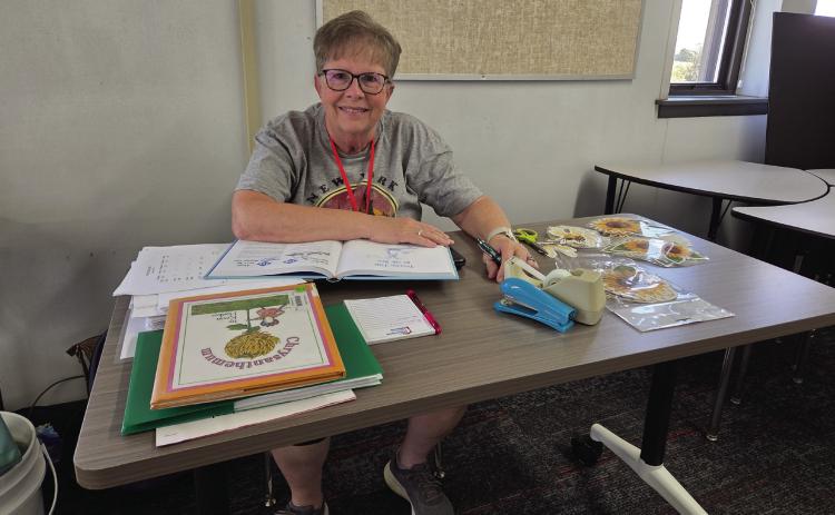 Sandra Alexander plans for the new school year Tuesday. She will teach Whitebead School’s new STEM classes. News Star Photo by Jennifer Lindsey