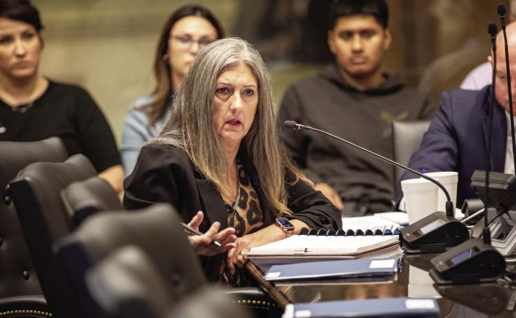 House Public Health Committee Chair Rep. Cynthia Roe speaks during her interim study on the effects of medical marijuana edibles on children Nov. 6 at the Oklahoma State Capitol.