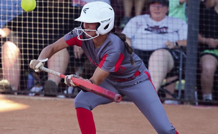 Senior Avri Crouch squares to bunt as a ball sails higher during Monday’s action with Wynnewood. Photo by Mike Arie