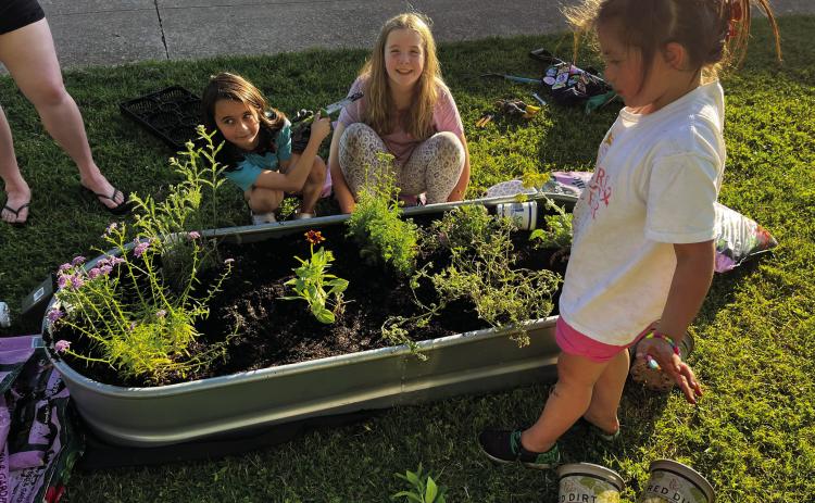 Pauls Valley Girl Scout Troop 259 installed a new pollinator garden at the First Presbyterian Church in Pauls Valley. The girls planned and paid for this project using cookie sales money earned this year. This completes the 'Take action' badge for the Outdoor Journey series. This project was made possible through the gracious permissions from the First Presbyterian Church and flower donations from Pamela Popejoy at Blooming Crazy. Pictured are Paityn Perez, Luna Flores and Olivia Luker. Courtesy photo