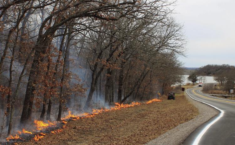 A wildland firefighter uses a drip torch to ignite vegetation along Cooper Memorial Road. The view is looking south-southwest from the Lakeview Trailhead towards the picnic area at the end of Cooper Memorial Road. Lake of the Arbuckles and Arbuckle Dam are visible in the background. NPS photo