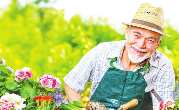 Summer fun for active seniors