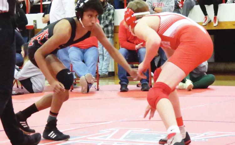 Bryan Scripsick Memorial Wrestling Tournament showcases local talent