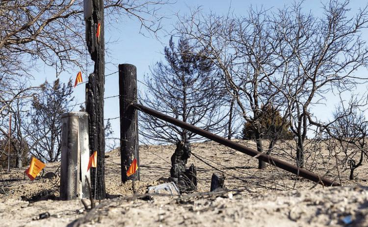 Parts of Ellis County suffered extensive damage following the wildfires in February 2024. OSU Extension recently received a grant from the USDA to better prepare Extension offices and research stations for future disasters. (Photo by Mitchell Alcala, OSU Agriculture)