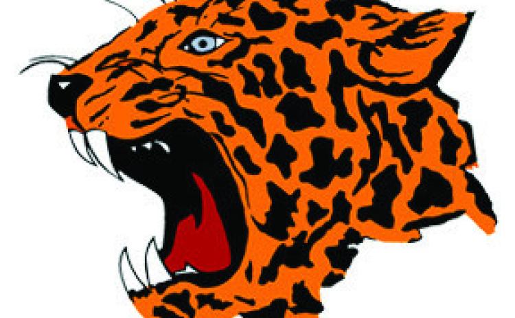 Leopards and Leopardettes win Districts