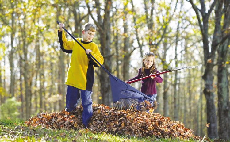 Fall Cleanup