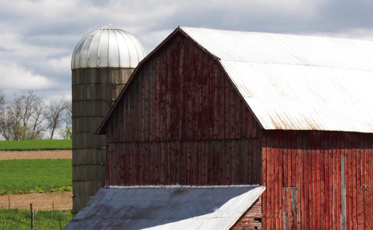 Things everyone can do to support rural economies