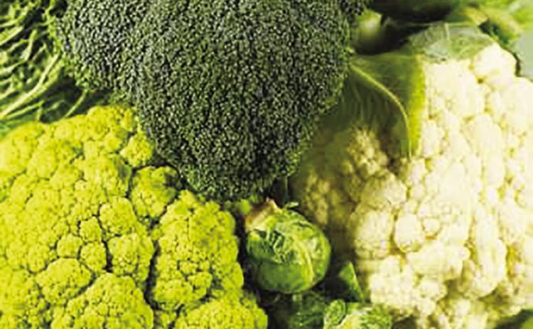 Certain veggies may prevent eye disorder