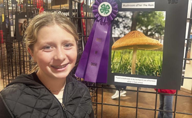 Beach wins Best of Show in 4-H photo contest