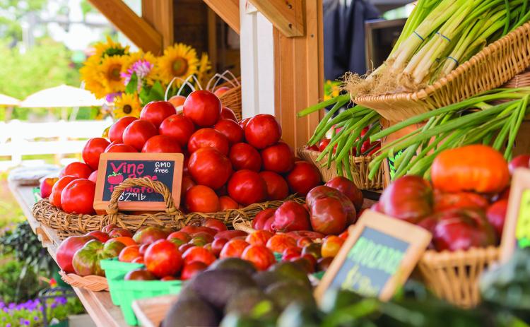 Growing Tomatoes Like A Pro: Tips For A Bumper Harvest